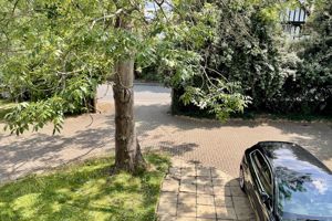 Photo 18- click for photo gallery